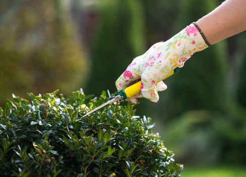 Seasonal pruning and hedge maintenance in Cubitt Town