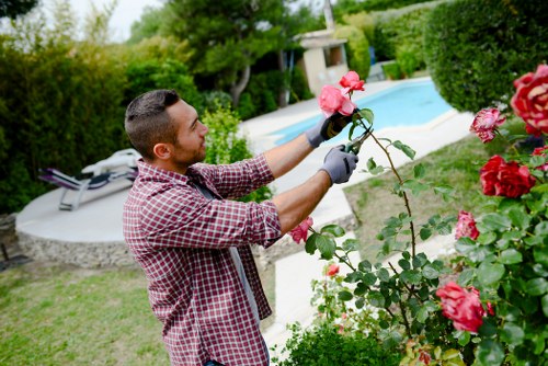 Gardening services in Cubitt Town for tidy and healthy outdoor spaces