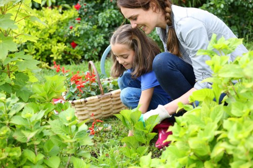 Modern landscape gardening design for a Cubitt Town garden