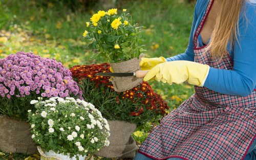 Annual review of anti-slavery controls at Gardeners Cubitt Town