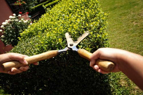 Seasonal lawn maintenance in Cubitt Town