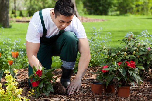 Seasonal garden maintenance in Cubitt Town with planting and pruning