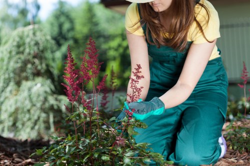 Image showing a formal gardening service complaint being assessed