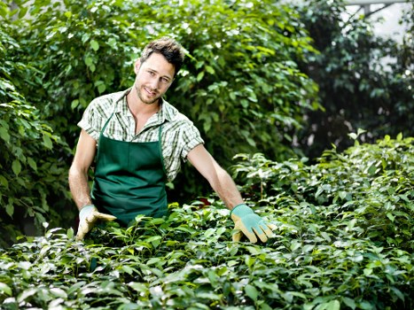 Load-based waste removal estimate for garden clearance