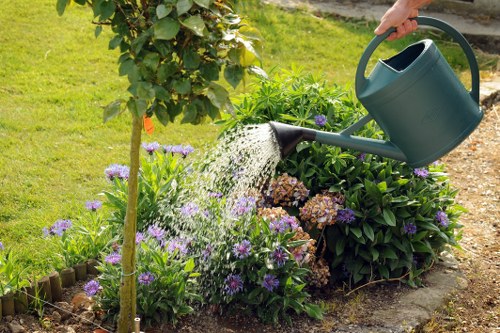 Evergreen and flowering plants suited to Cubitt Town landscape gardening