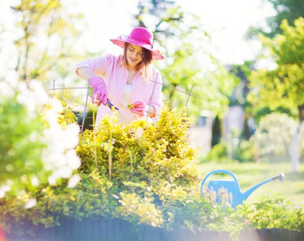 Keyboard navigation and focus visibility for the Cubitt Town gardening website