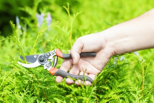 Governing law and dispute terms for UK garden services