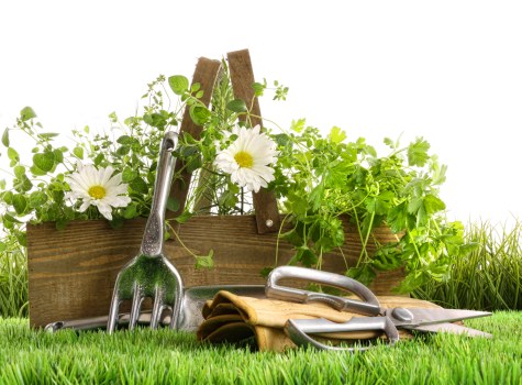 Safe checkout options for Gardeners Cubitt Town services