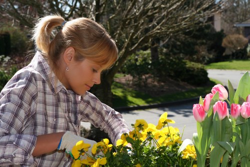 Cubitt Town gardeners providing long-term care for healthy outdoor spaces