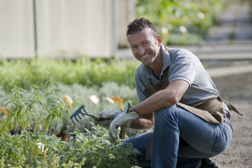 Professional landscape gardening features for a Cubitt Town home