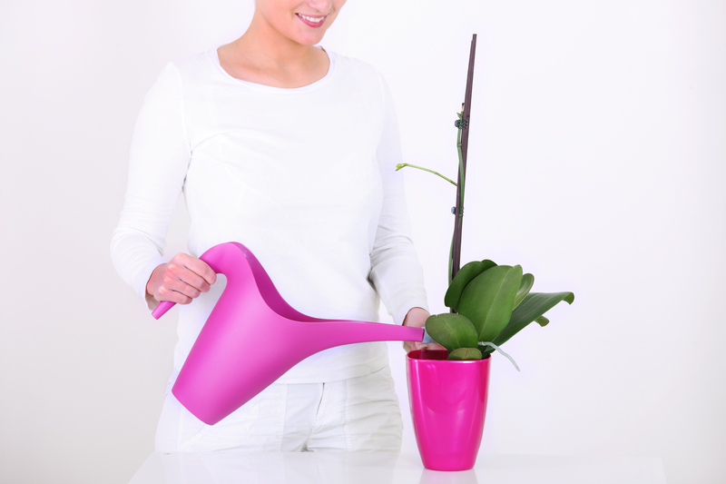 plants gardeners