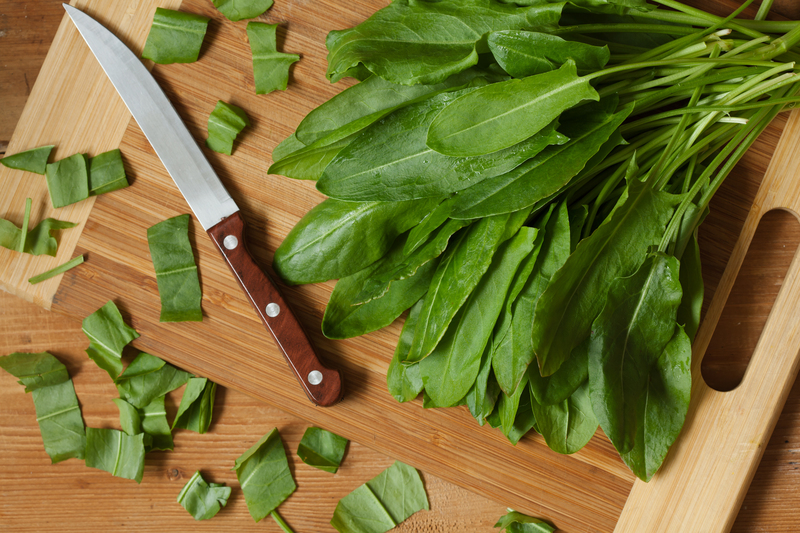 garden design Garden